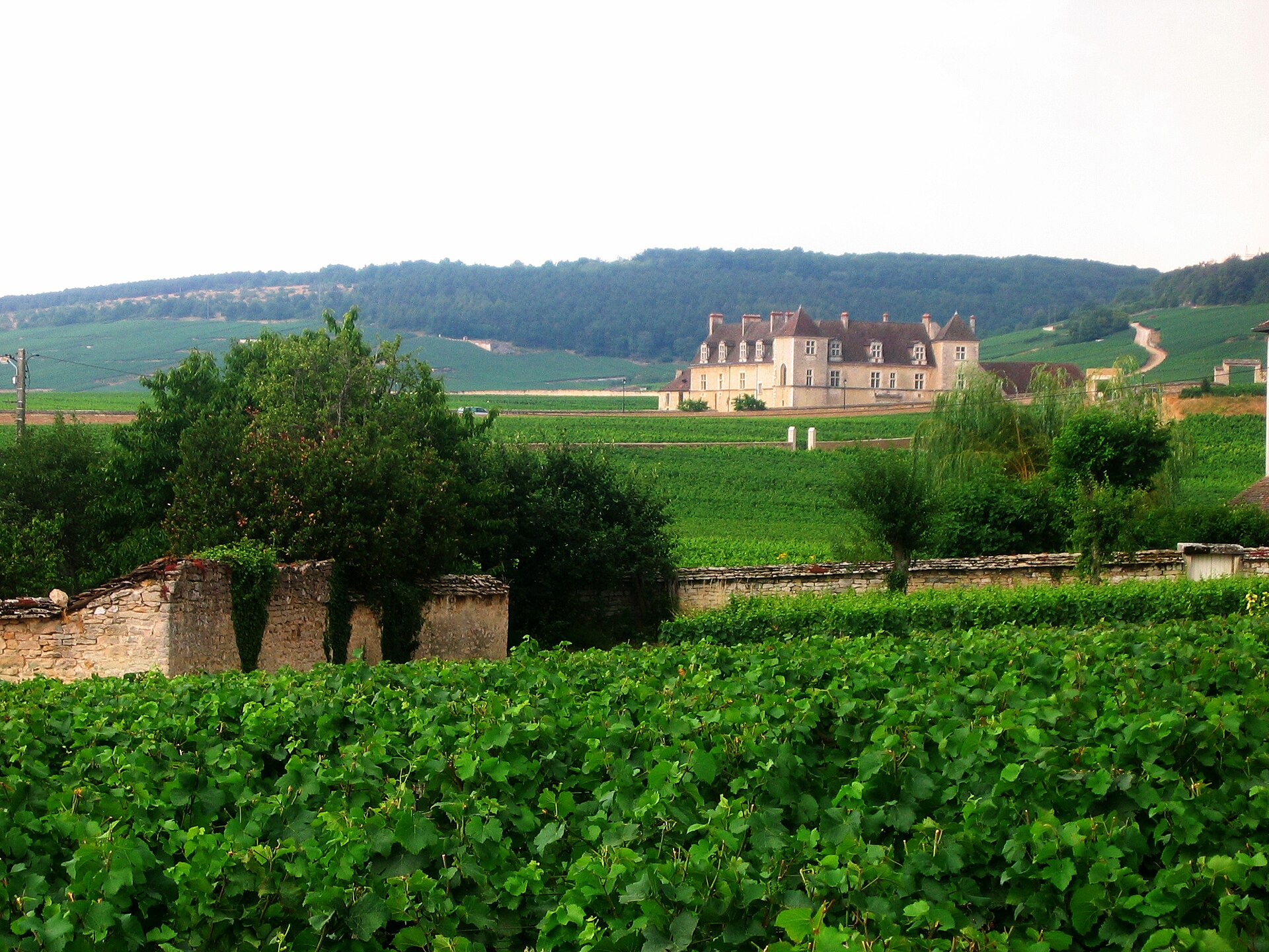 Vineyards surrounding Château du Clos de Vougeot in Burgundy