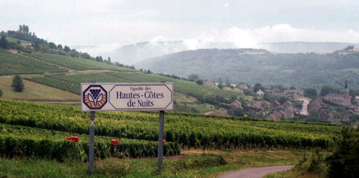 Vineyard slopes in the Hautes-Côtes de Nuits in Burgundy