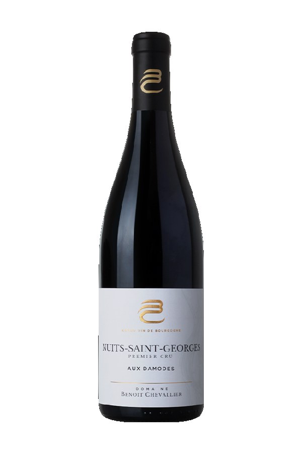 Bottle of  Domaine Benoit Chevallier Nuits Saint Georges 1er Cru les Damodes 2023