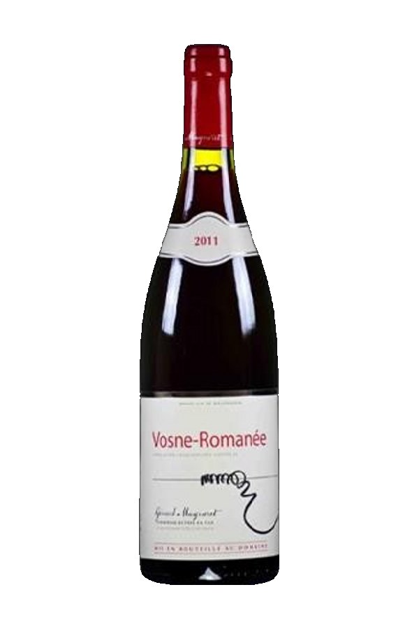 Bottle of  Domaine Gerard Mugneret Bourgogne Pinot Noir 2016