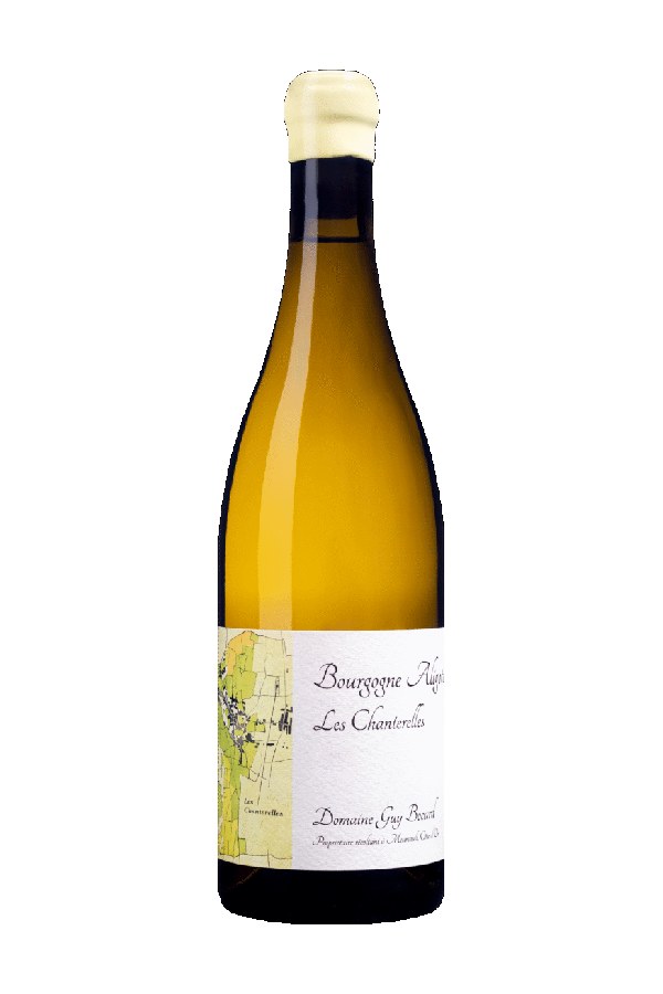 Bottle of  Domaine Guy Bocard Bourgogne Aliote les Chanterelles 2020