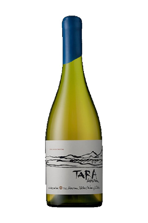 Bottle of  Tara Chardonnay Do Atacama Valley 2022